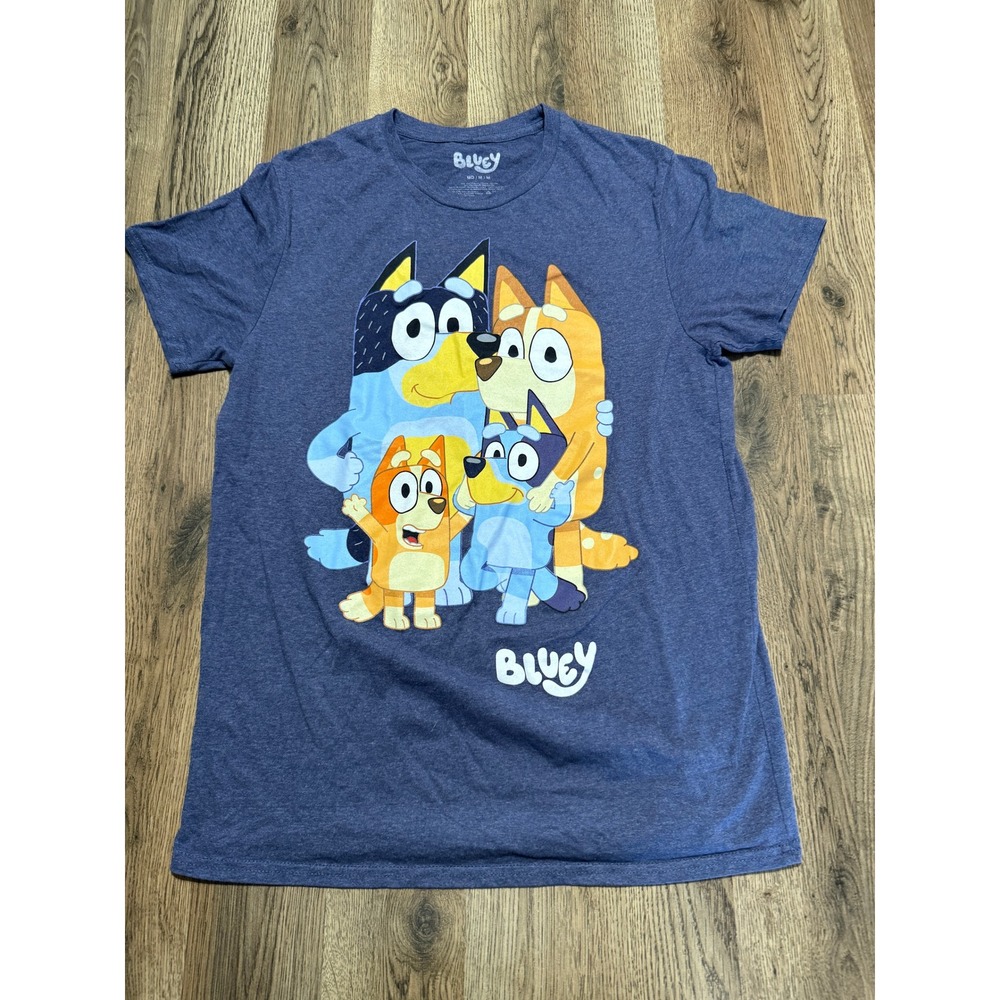 Bluey Family Graphic T-Shirt Mens Medium Blue Heather Short Sleeve Crewneck Tee
